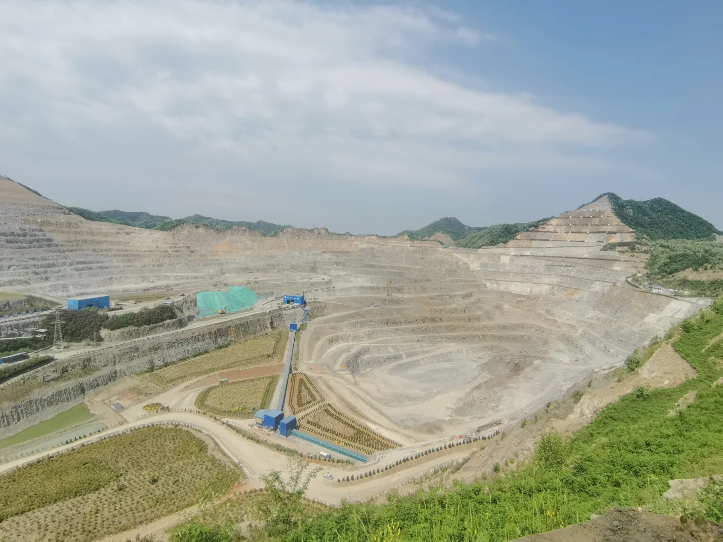 洛阳最有钱的企业