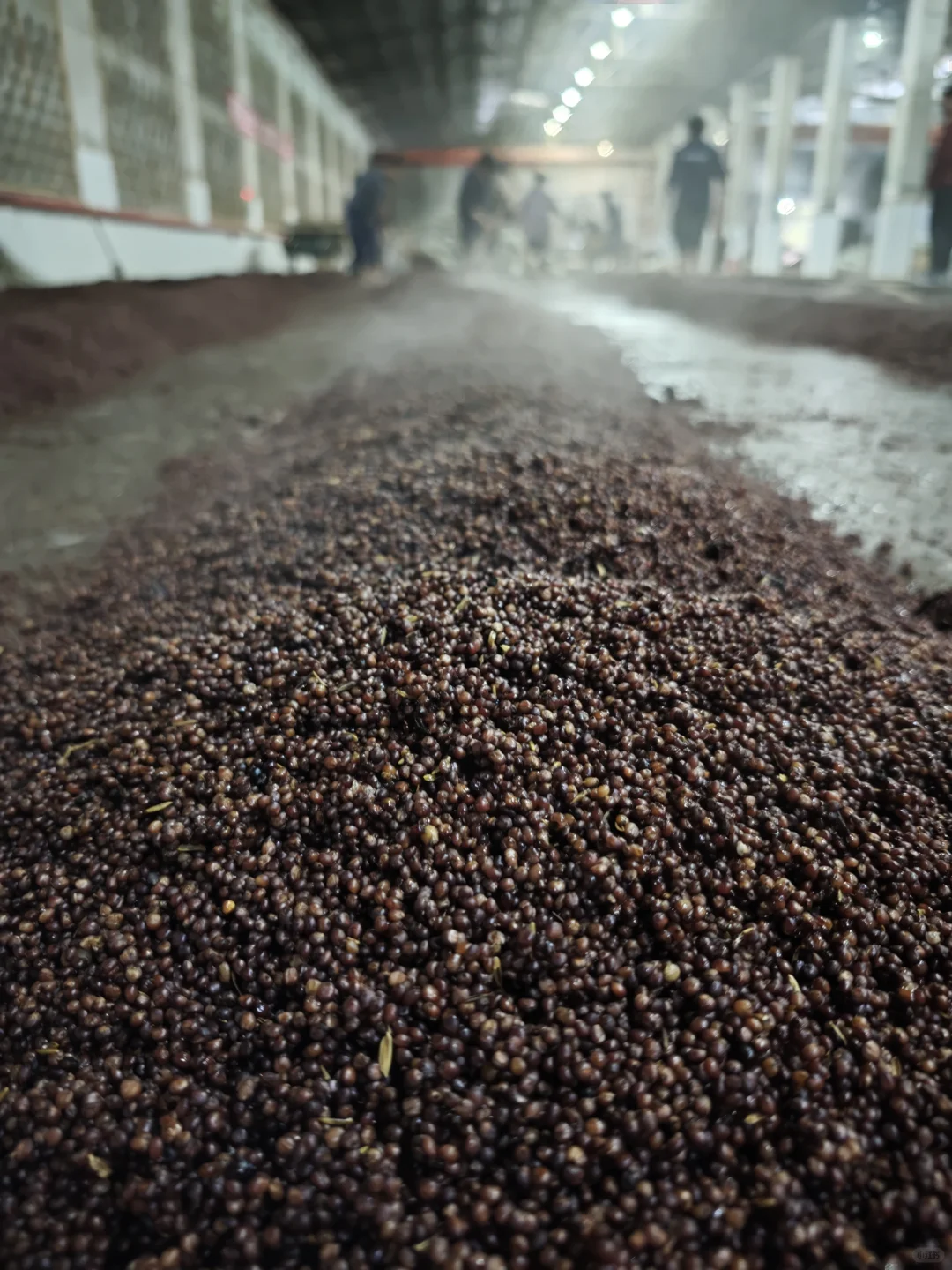 酱酒：流淌千年的东方韵味