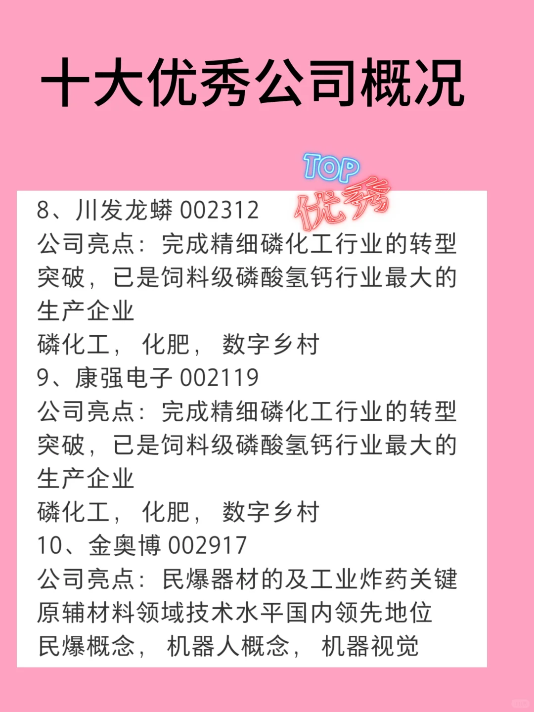 十大优秀公司概况