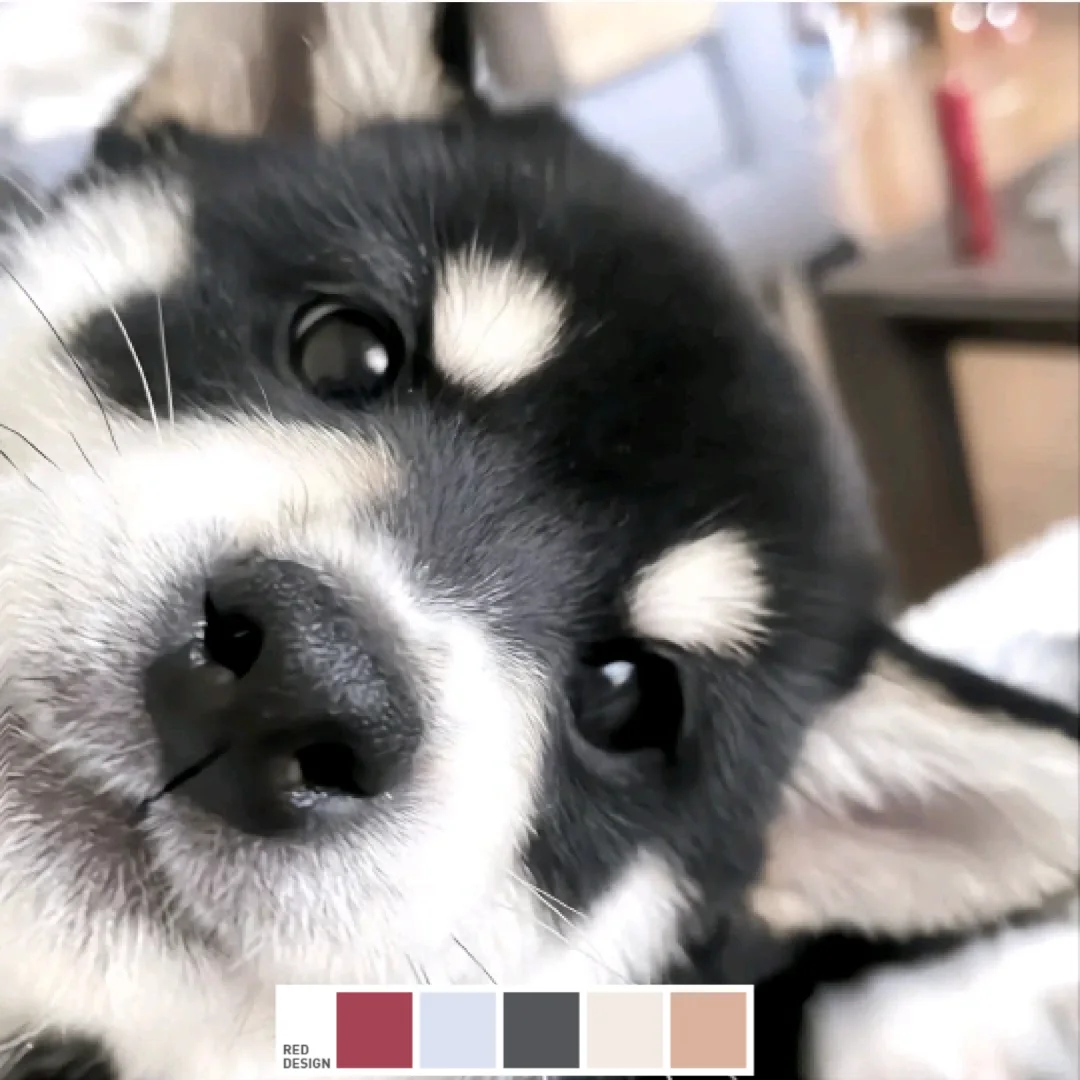 企创大赛 企业管理创新大赛