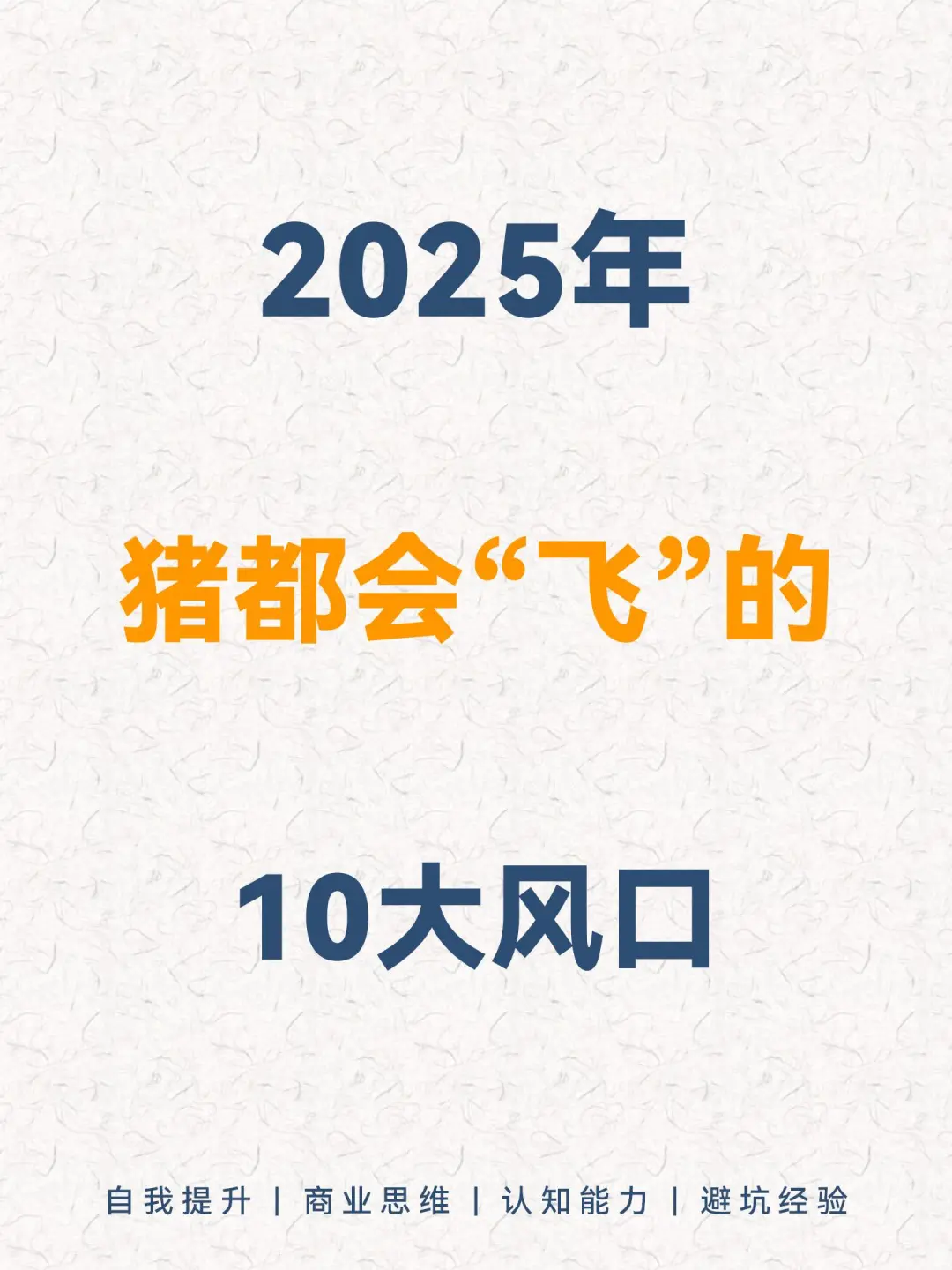 2025年，猪都可以死飞的10个风口??