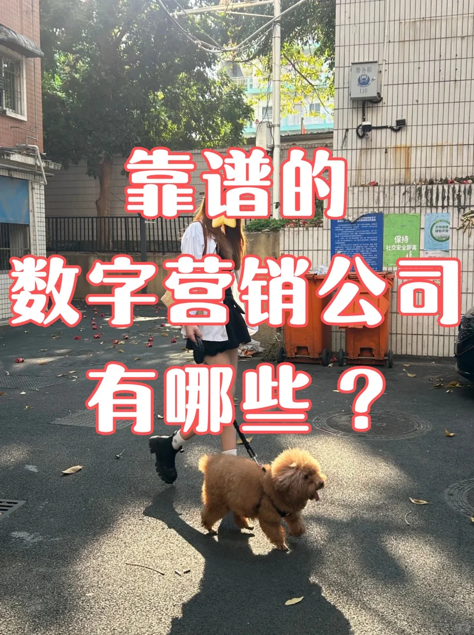 靠谱的数字营销公司有哪些？