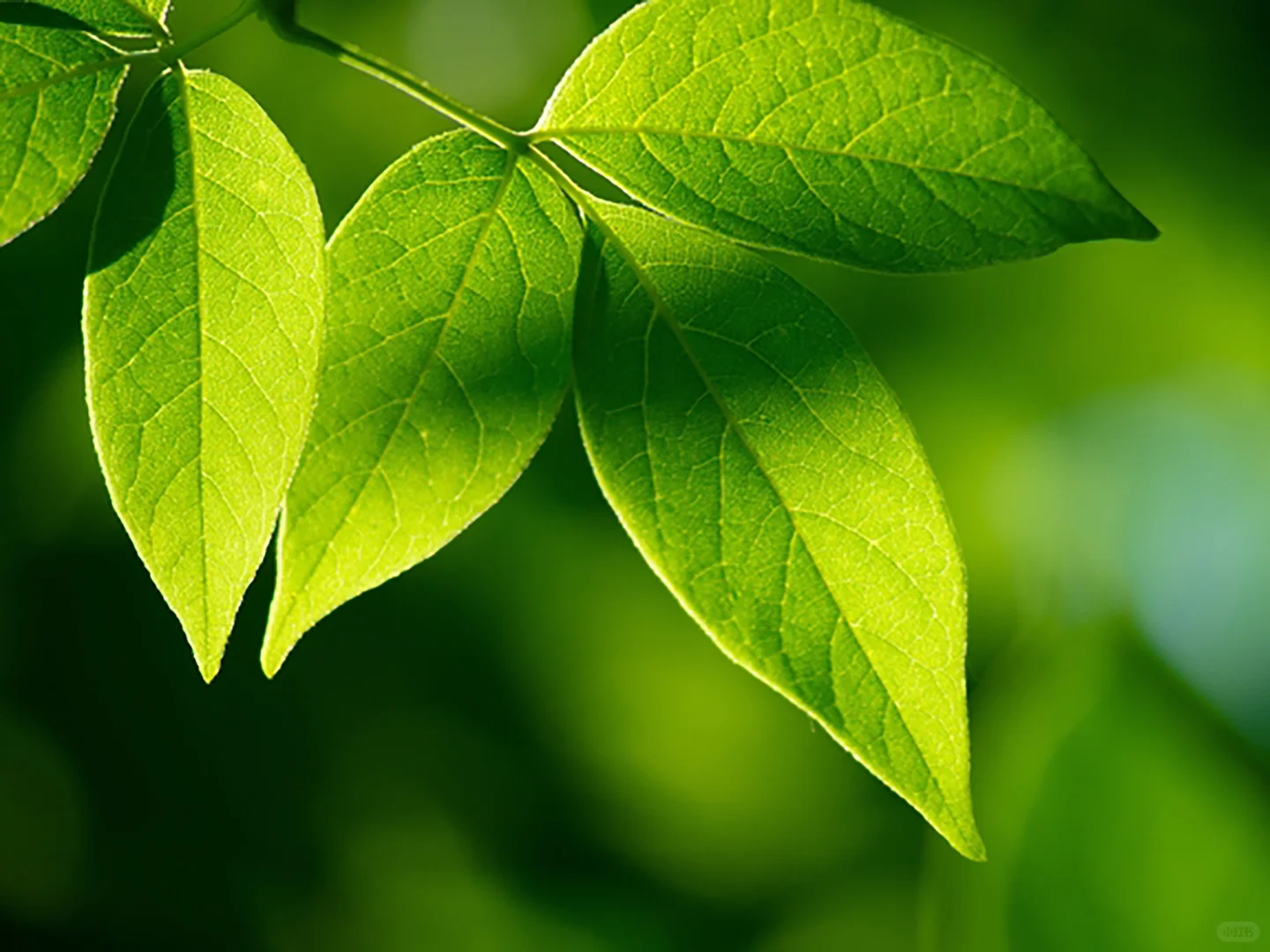 企业参与国家标准制定有哪些好处？