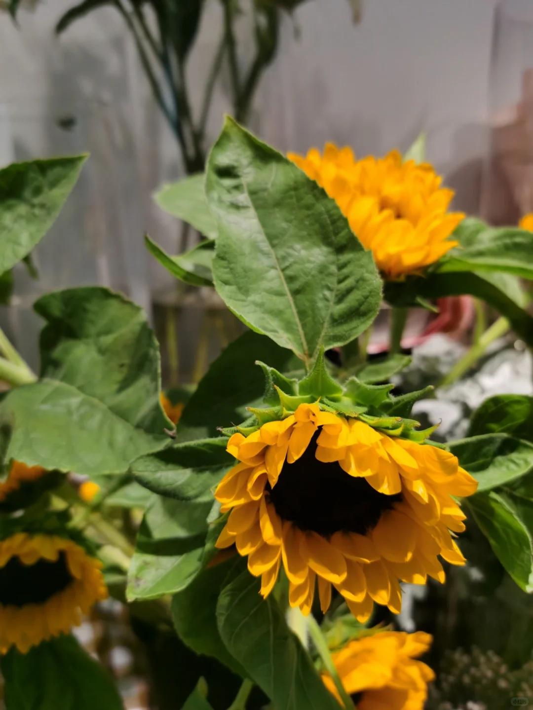 经济危机的由来