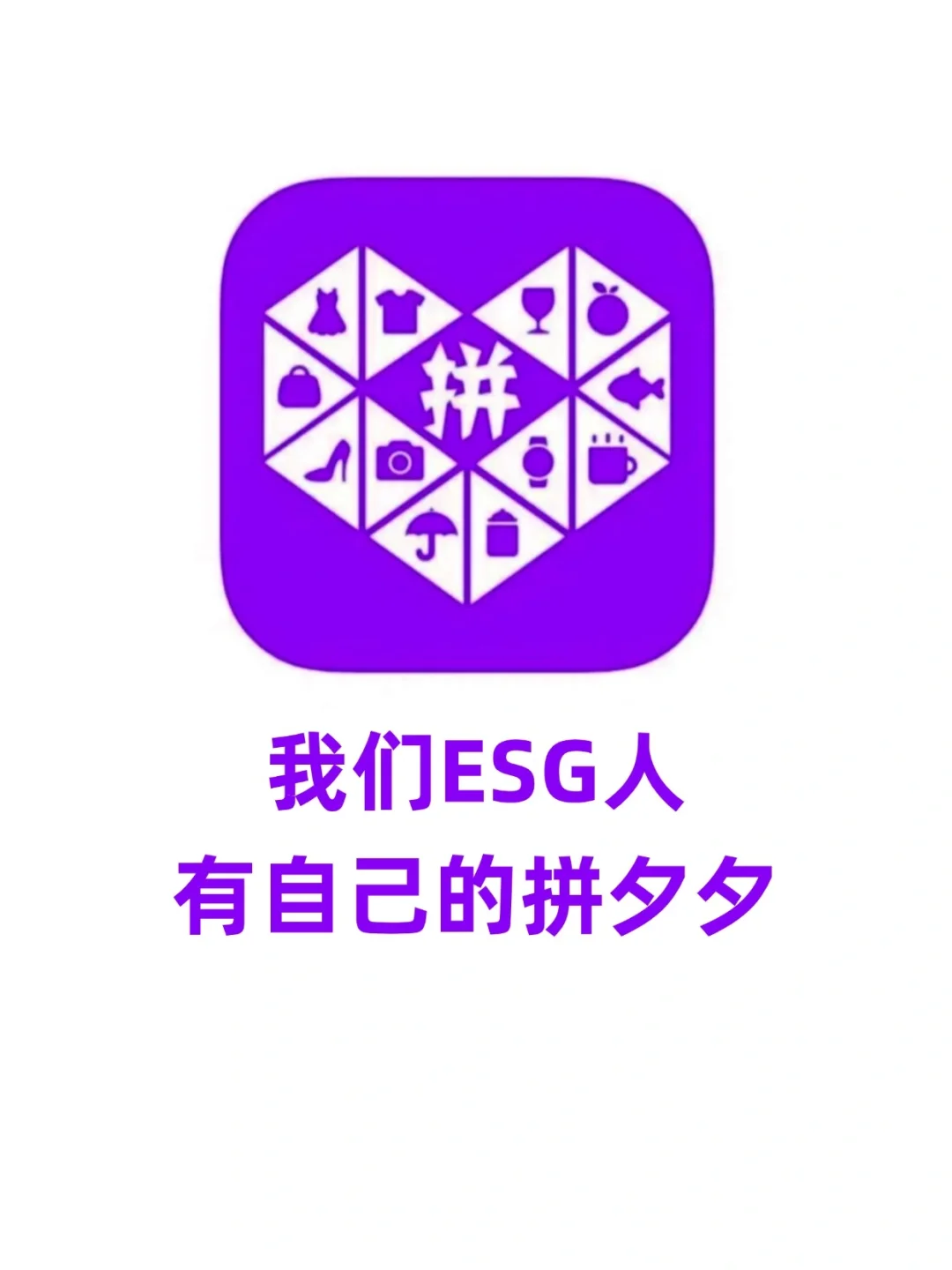 别管！我们ESG人有自己的拼夕夕