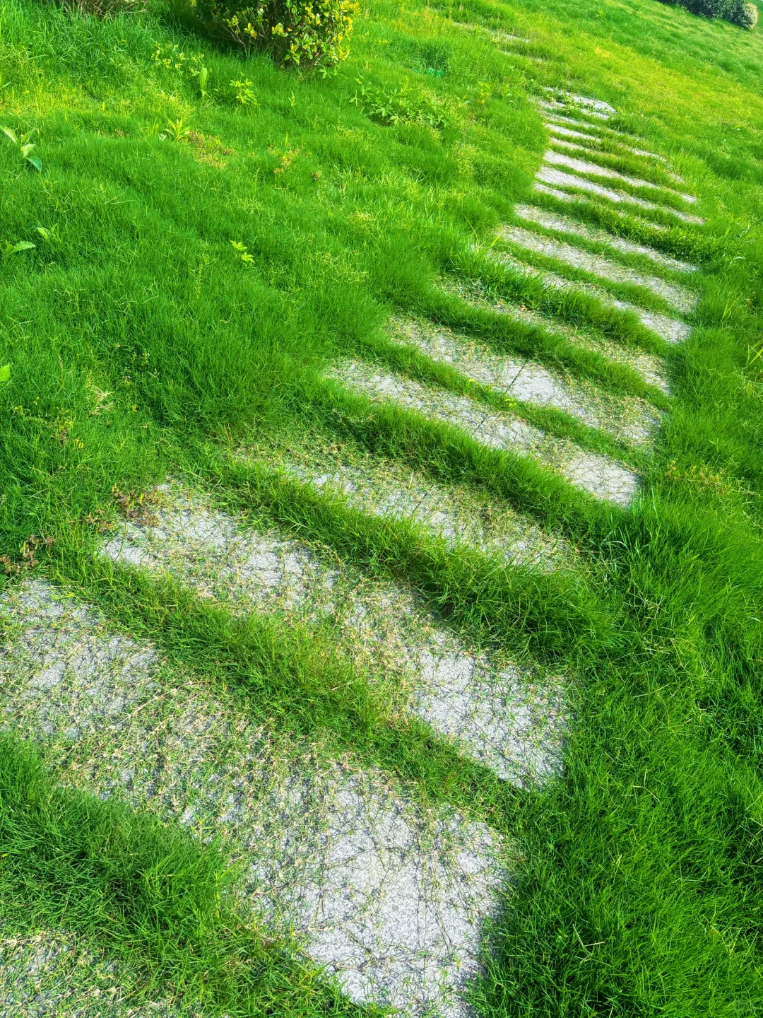 如何帮企业省成本？园区竟成北上广平替