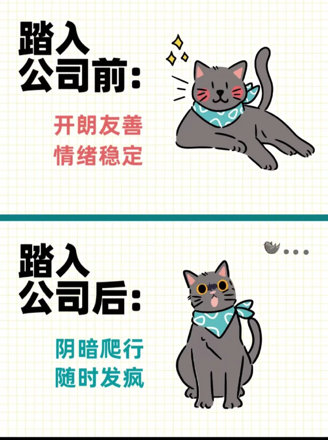 踏入公司前vs踏入公司后