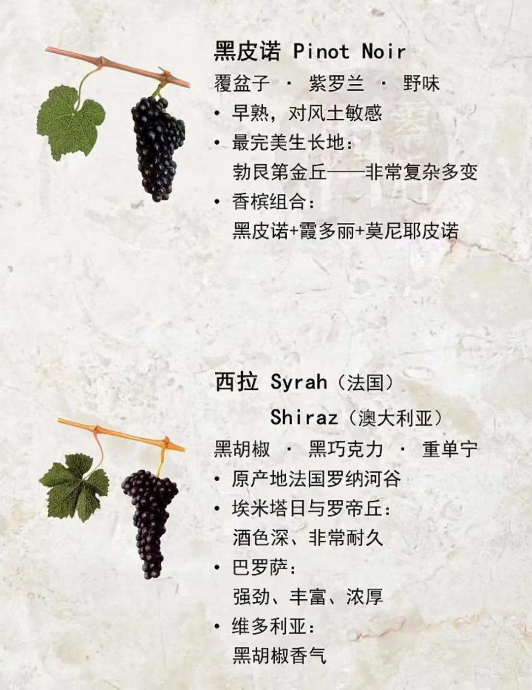 酿造葡萄酒最常见的葡萄品种