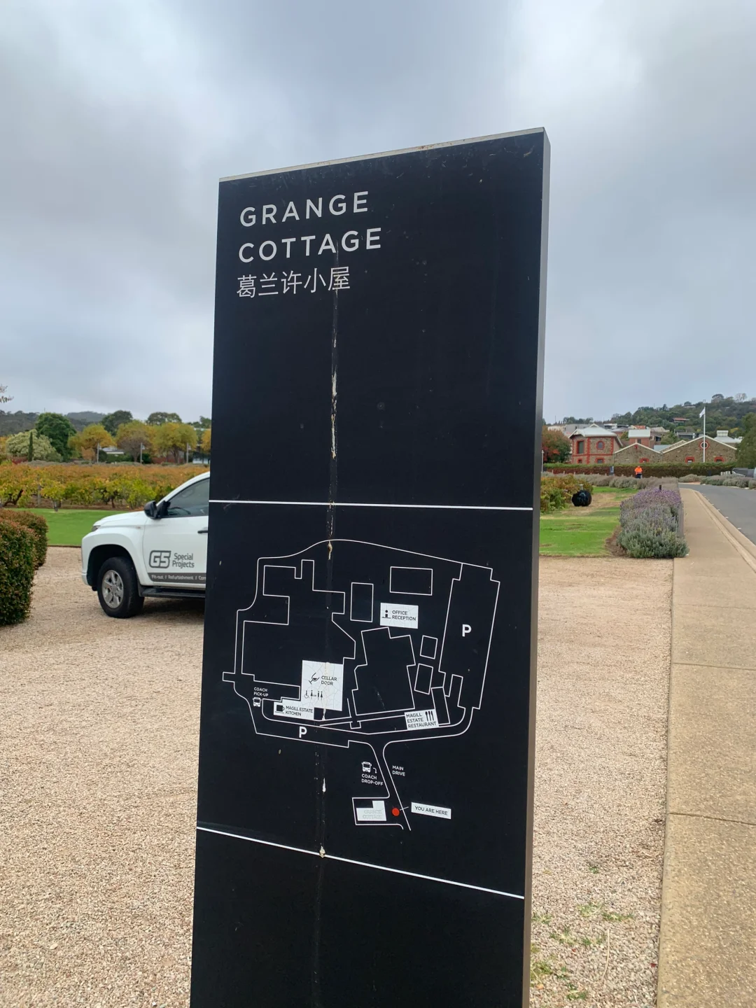 一大早试喝9⃣️款奔富，直接晕乎了?