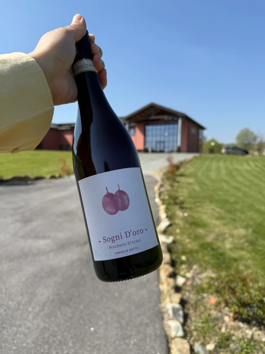 挖到宝了！值得回购1w次的红酒！！