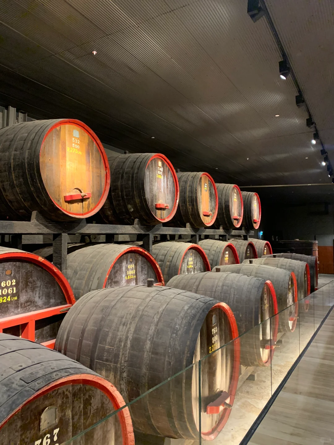 一大早试喝9⃣️款奔富，直接晕乎了?