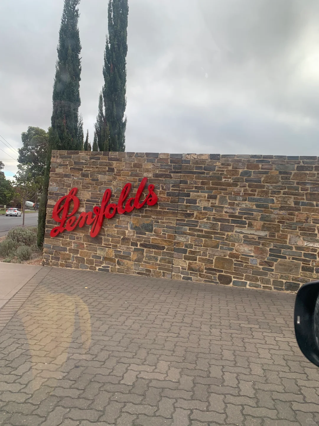 一大早试喝9⃣️款奔富，直接晕乎了?