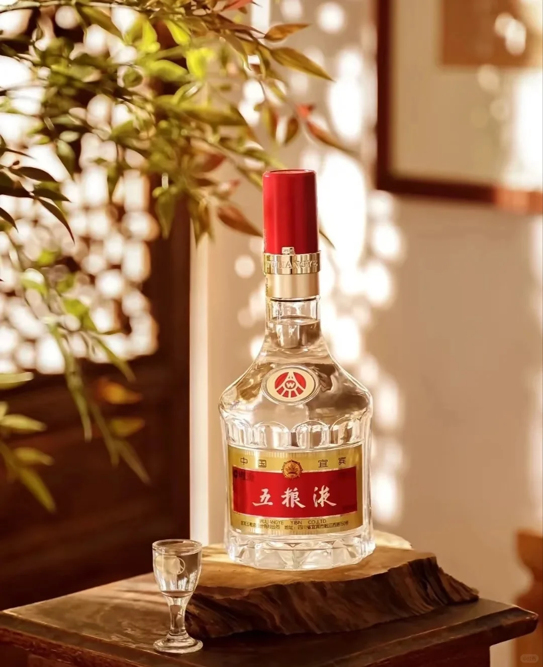 茅台为什么比五粮液好喝?