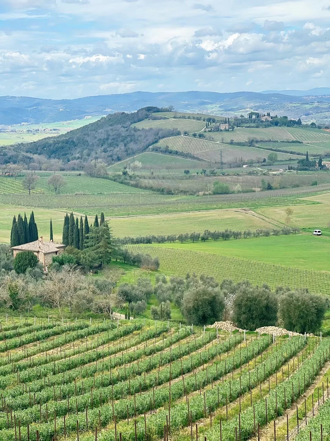 一边看暮光之城一边喝的葡萄酒