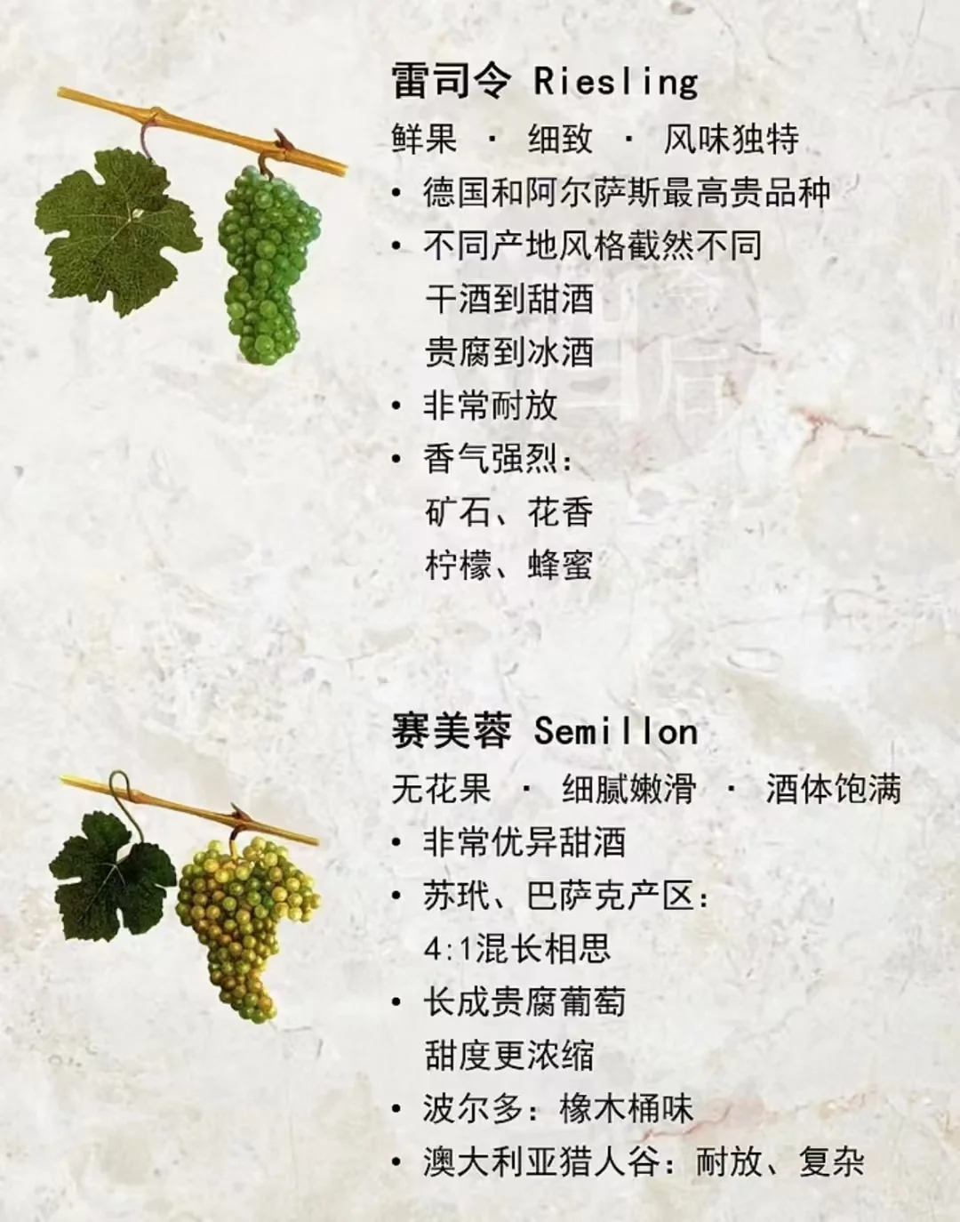 酿造葡萄酒最常见的葡萄品种