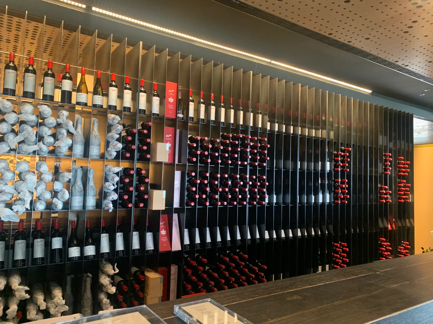 一大早试喝9⃣️款奔富，直接晕乎了?