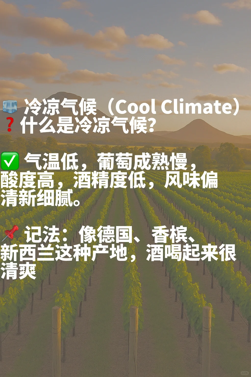 快速掌握葡萄酒风格描述！