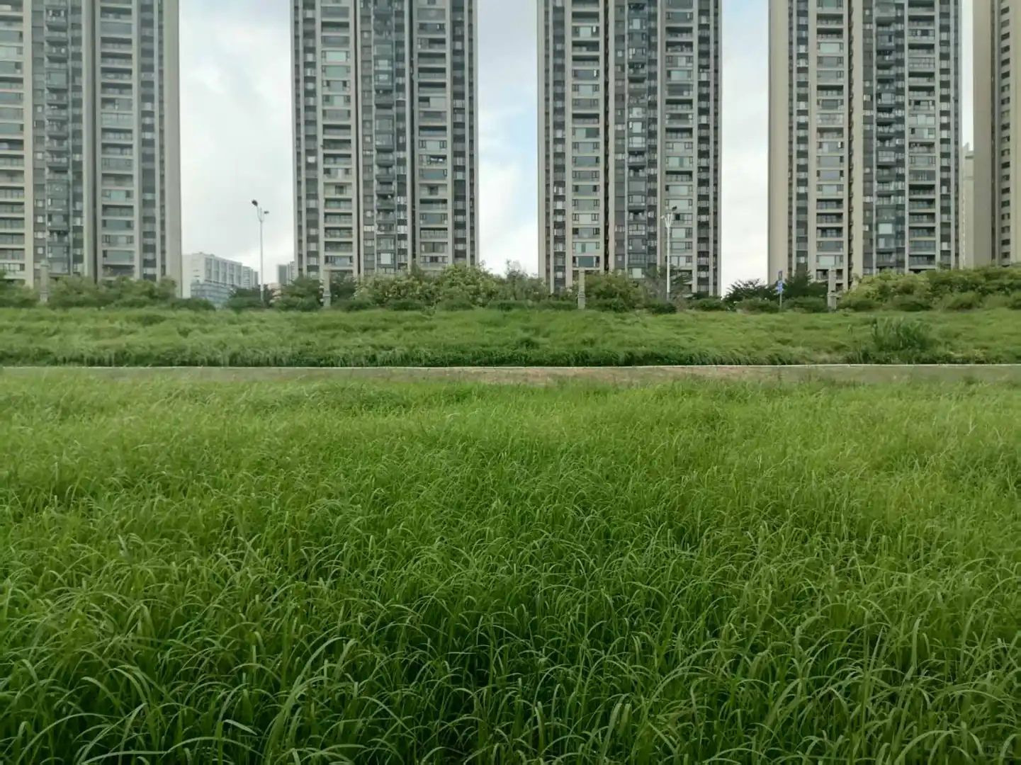 佛山超万人的企业有哪些？有企业员工超20万