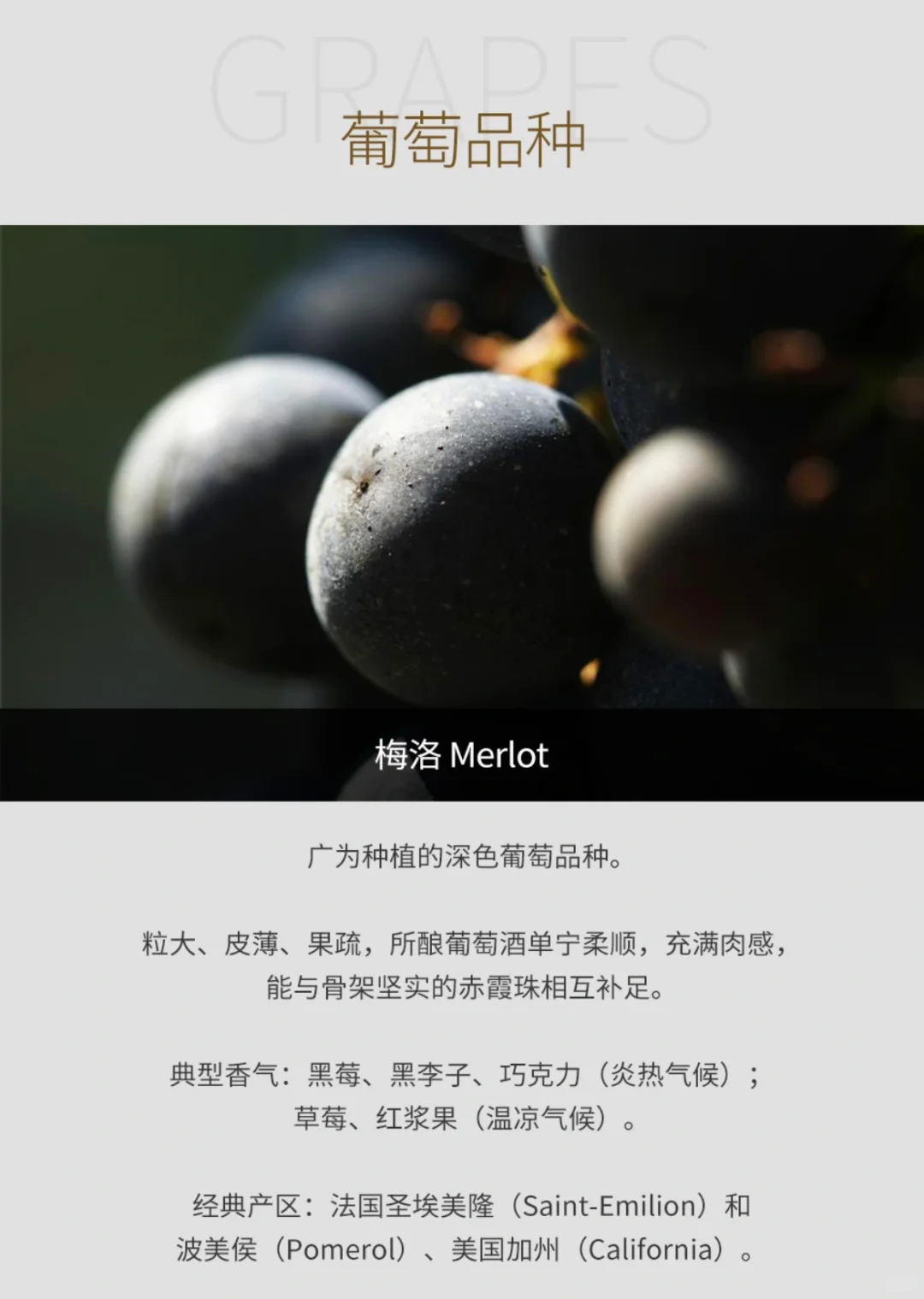 2011年拉菲古堡红葡萄酒（法国1855一级庄）