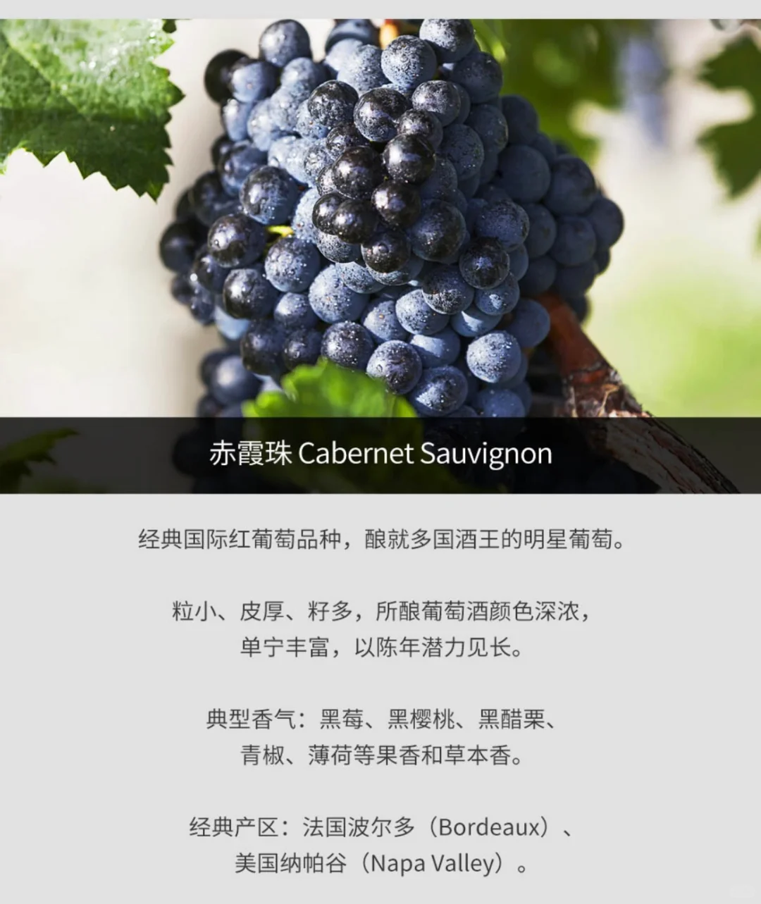 2011年拉菲古堡红葡萄酒（法国1855一级庄）