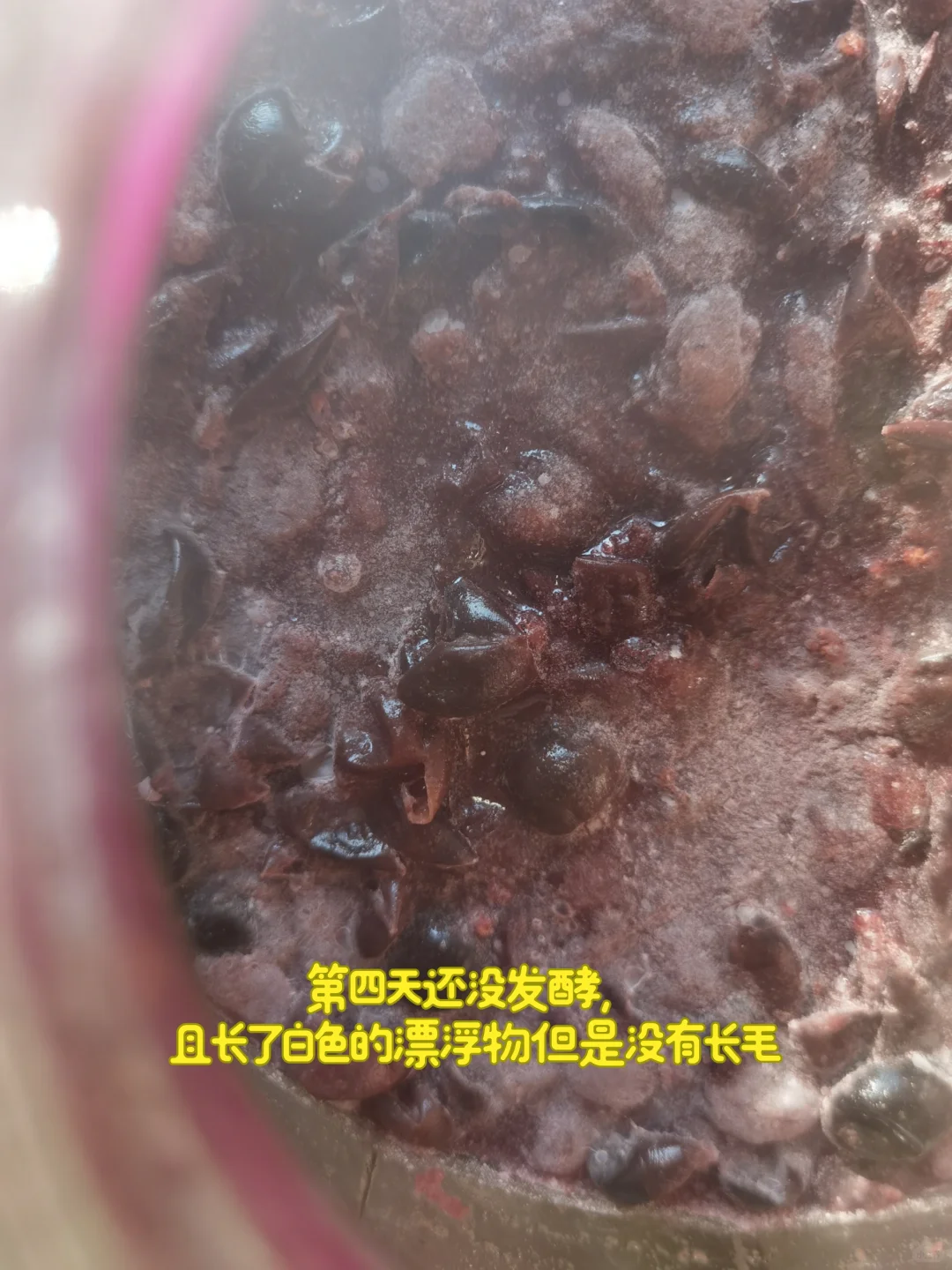 关于我自制葡萄酒，长白色漂浮物后的抢救