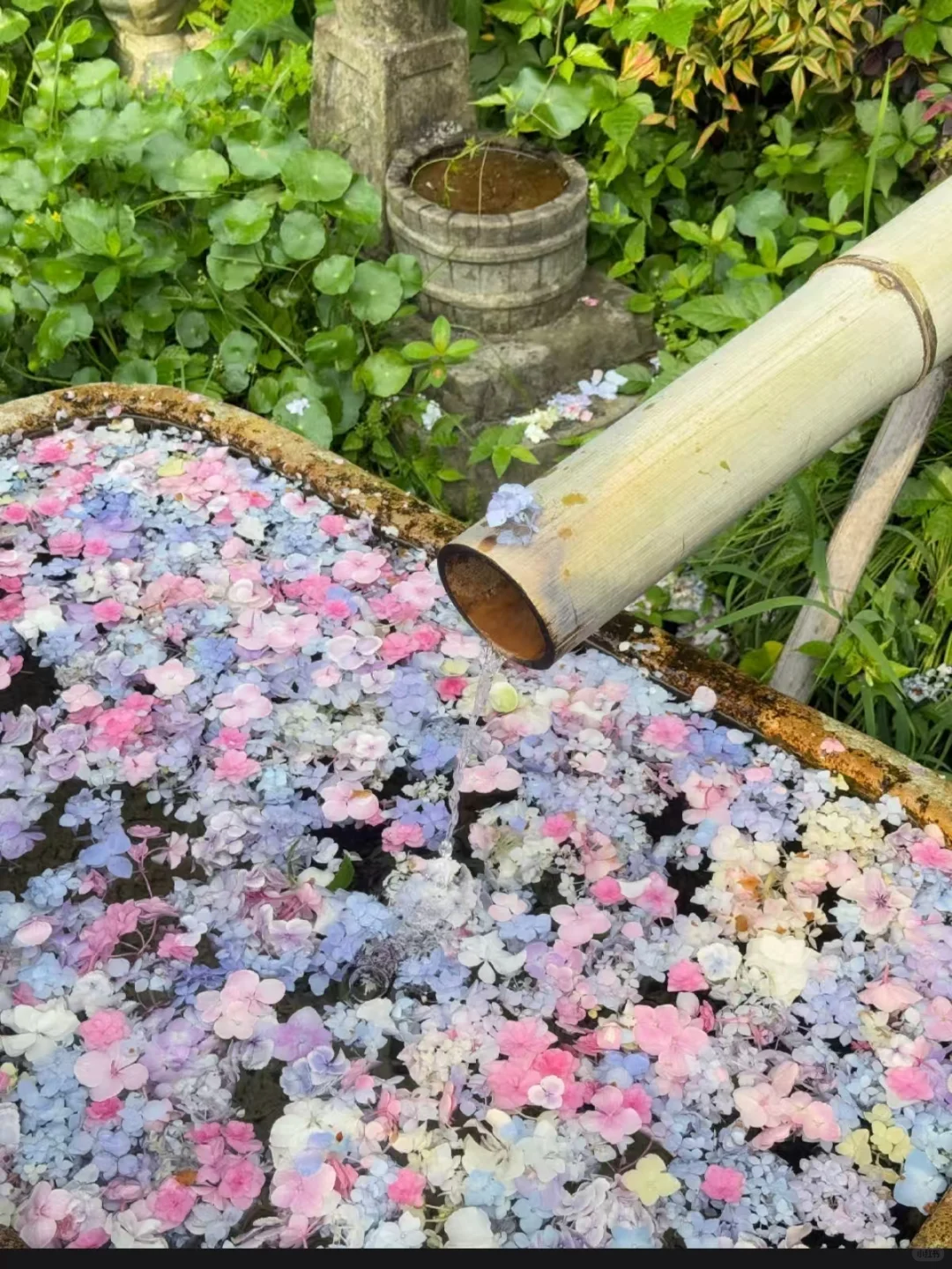 不懂就问，这瓶葡萄酒真的没人知道吗?