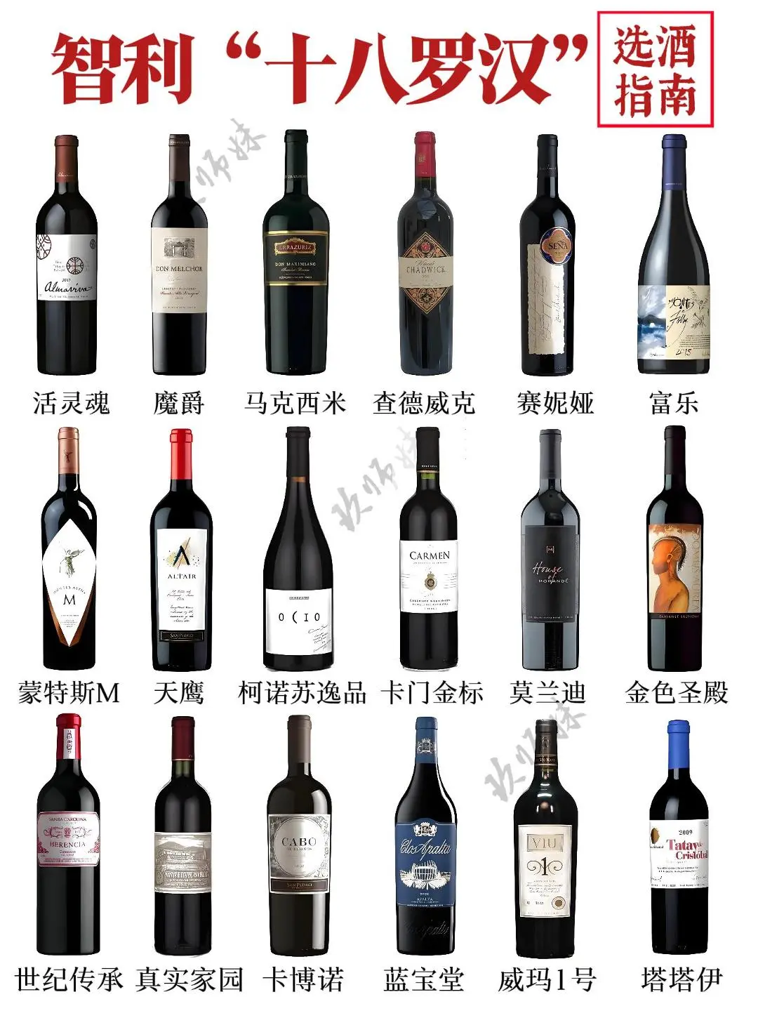 盘点智利“十八罗汉”,你都认识哪几个?