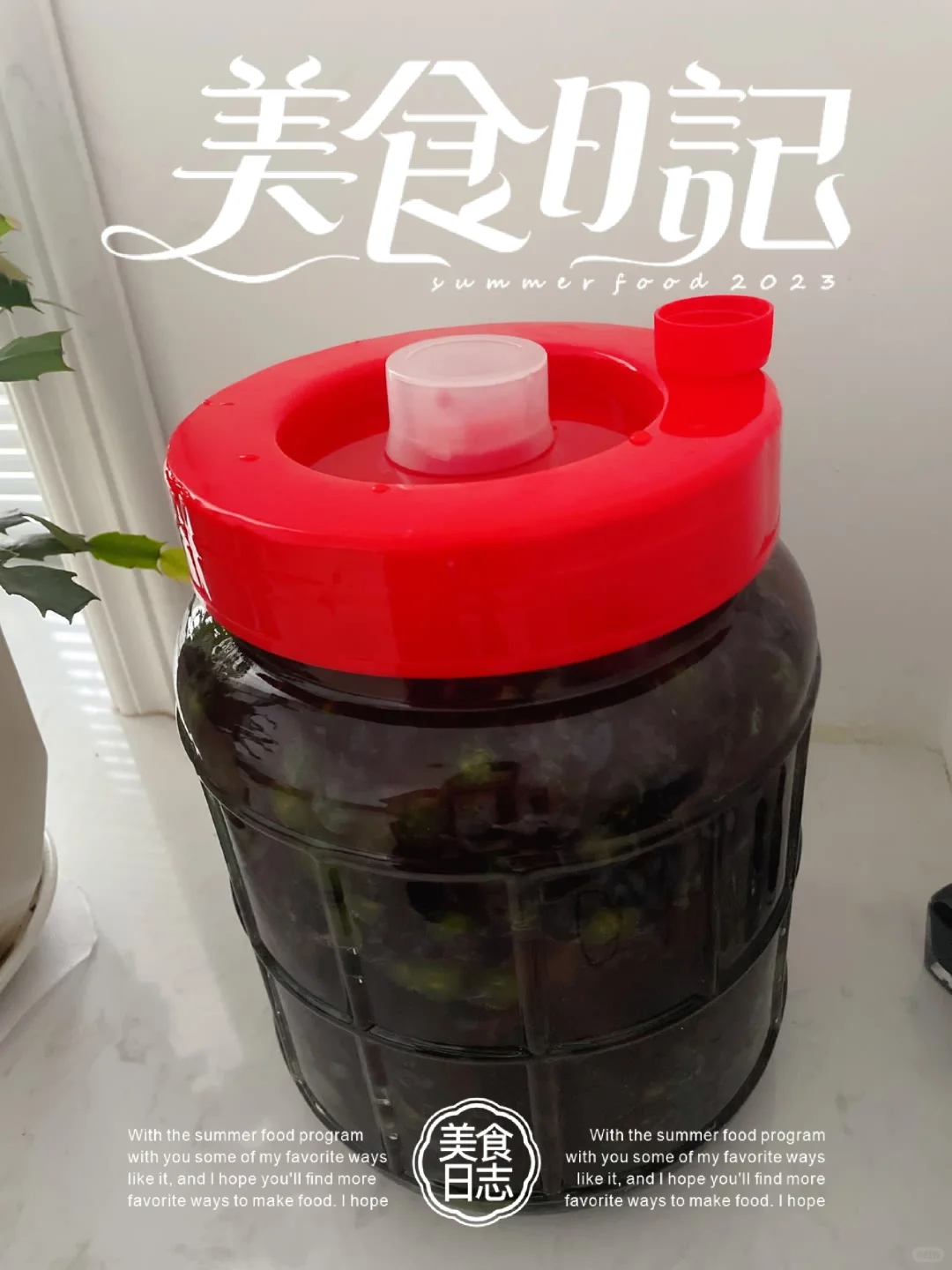 第一次酿葡萄酒,希望能喝