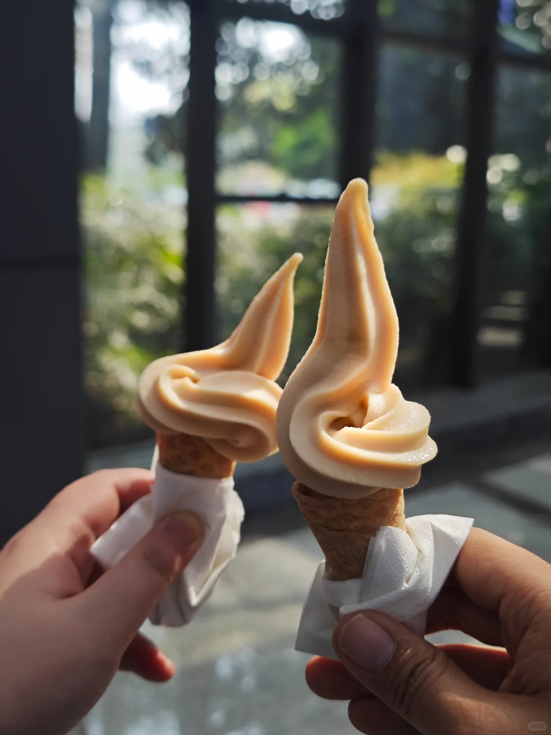 天菩萨，泸州的酒博会太好拍太好吃了～