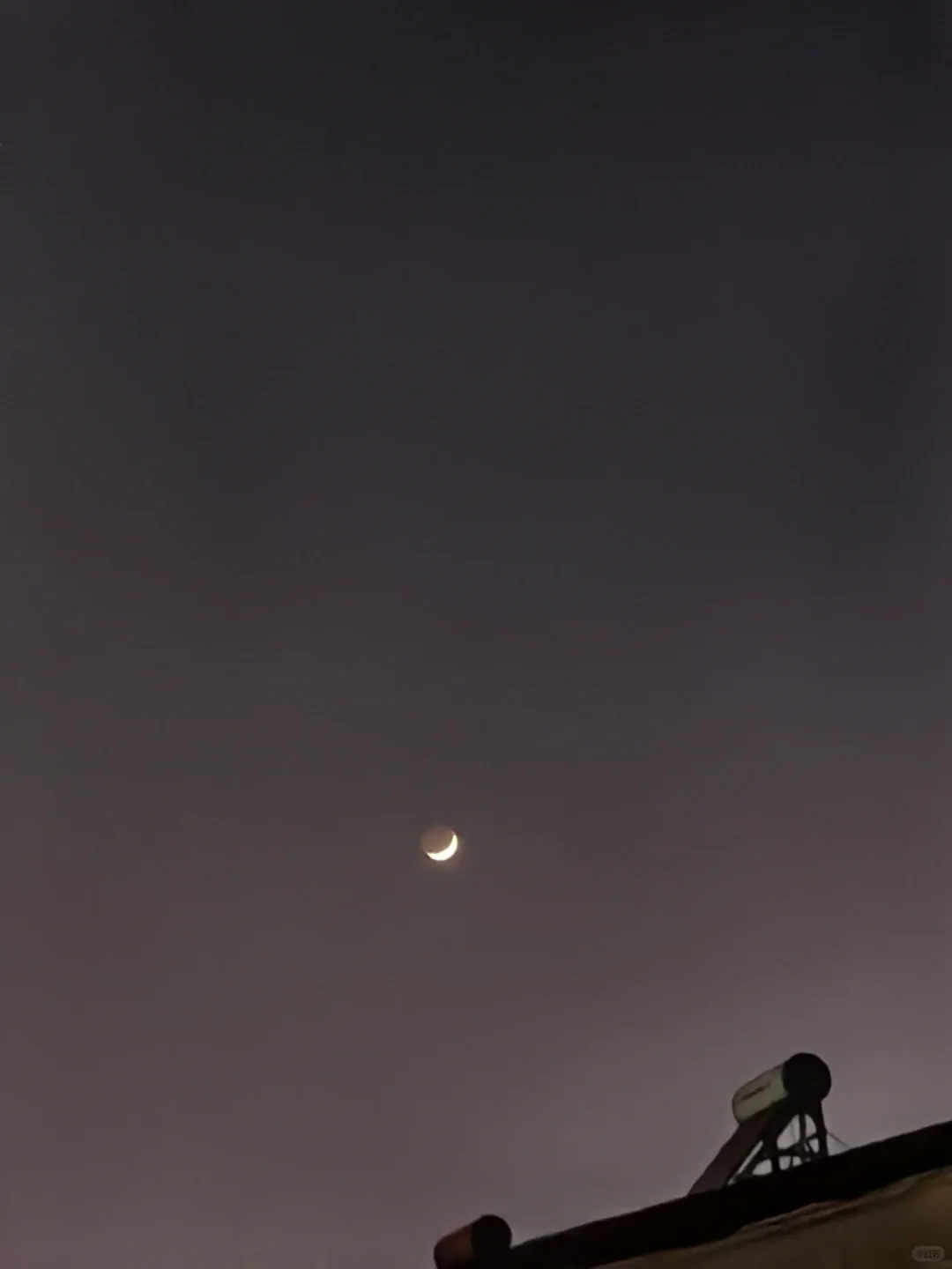 突然觉得白酒的味道很好闻