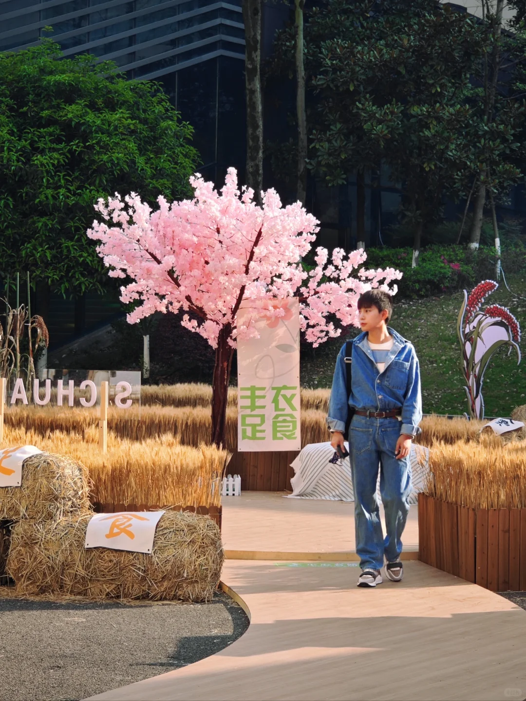 天菩萨，泸州的酒博会太好拍太好吃了～