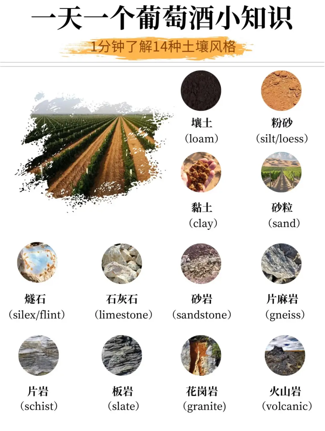1分钟了解14种葡萄酒土质，轻松选酒不踩坑