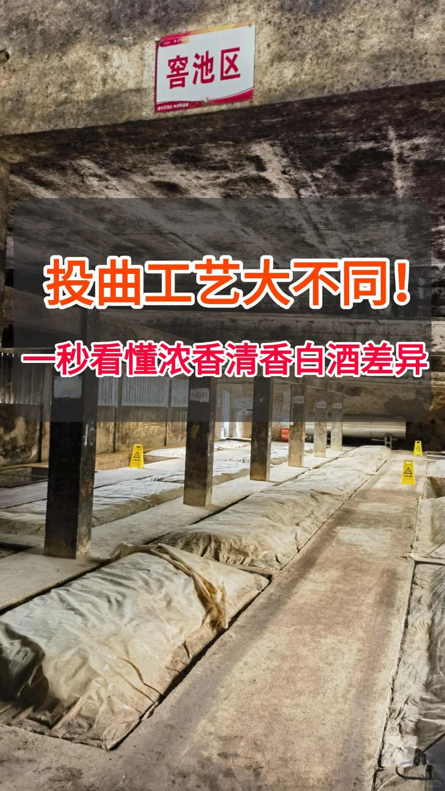 投曲工艺大不同！一秒看懂浓香清香白酒差异