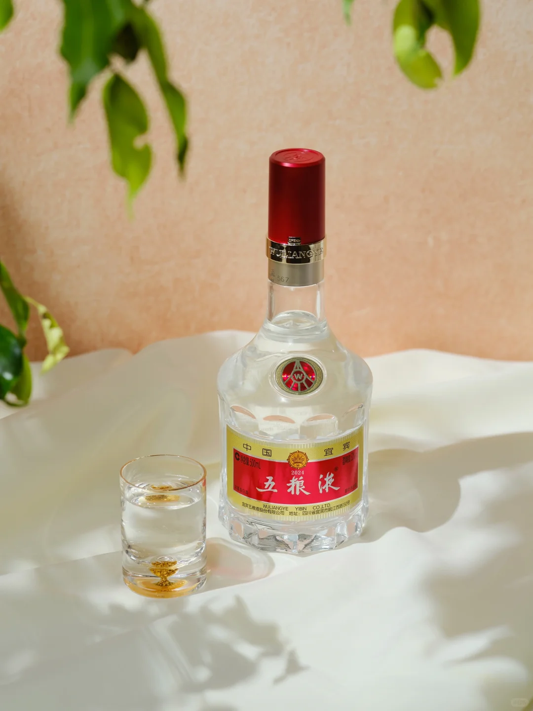 summer|感受夏日阳光,品五粮液好酒