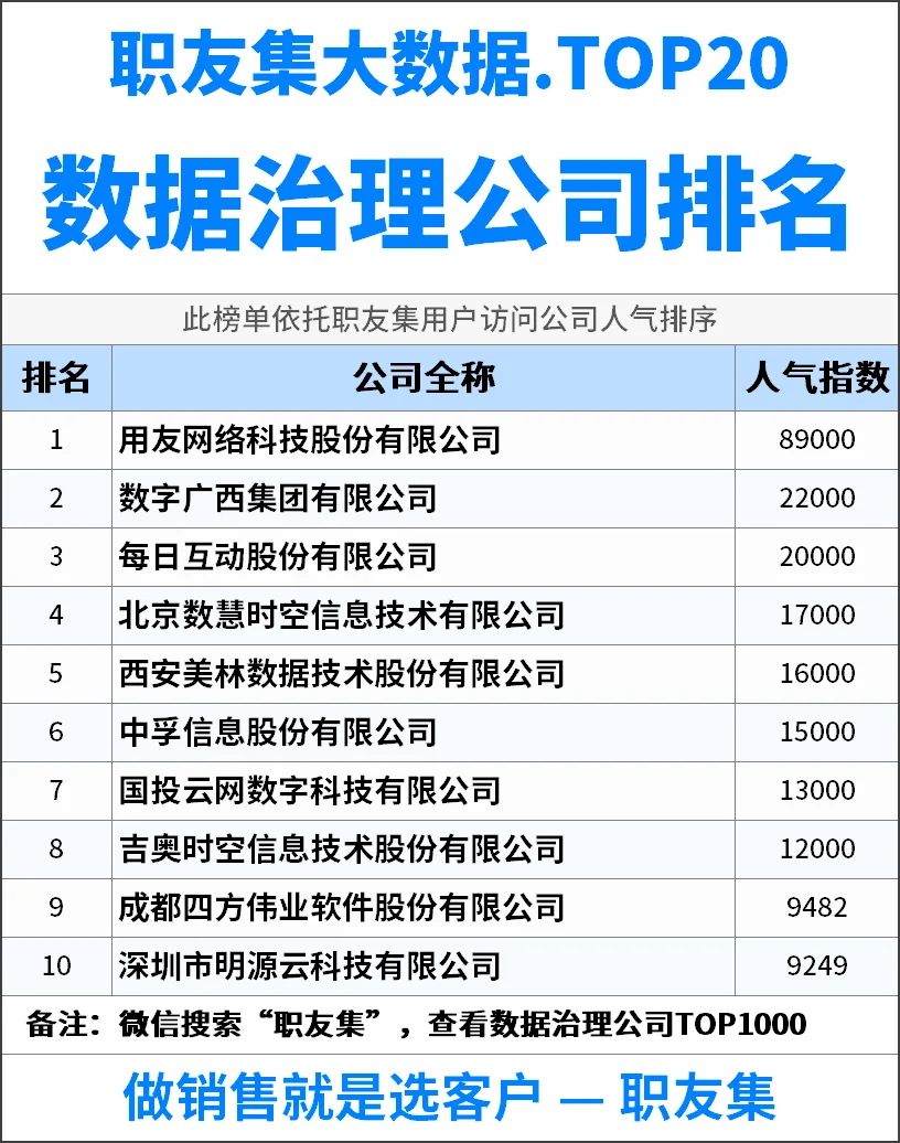 2025年中国‌‌‌‌数据治理公司排行榜