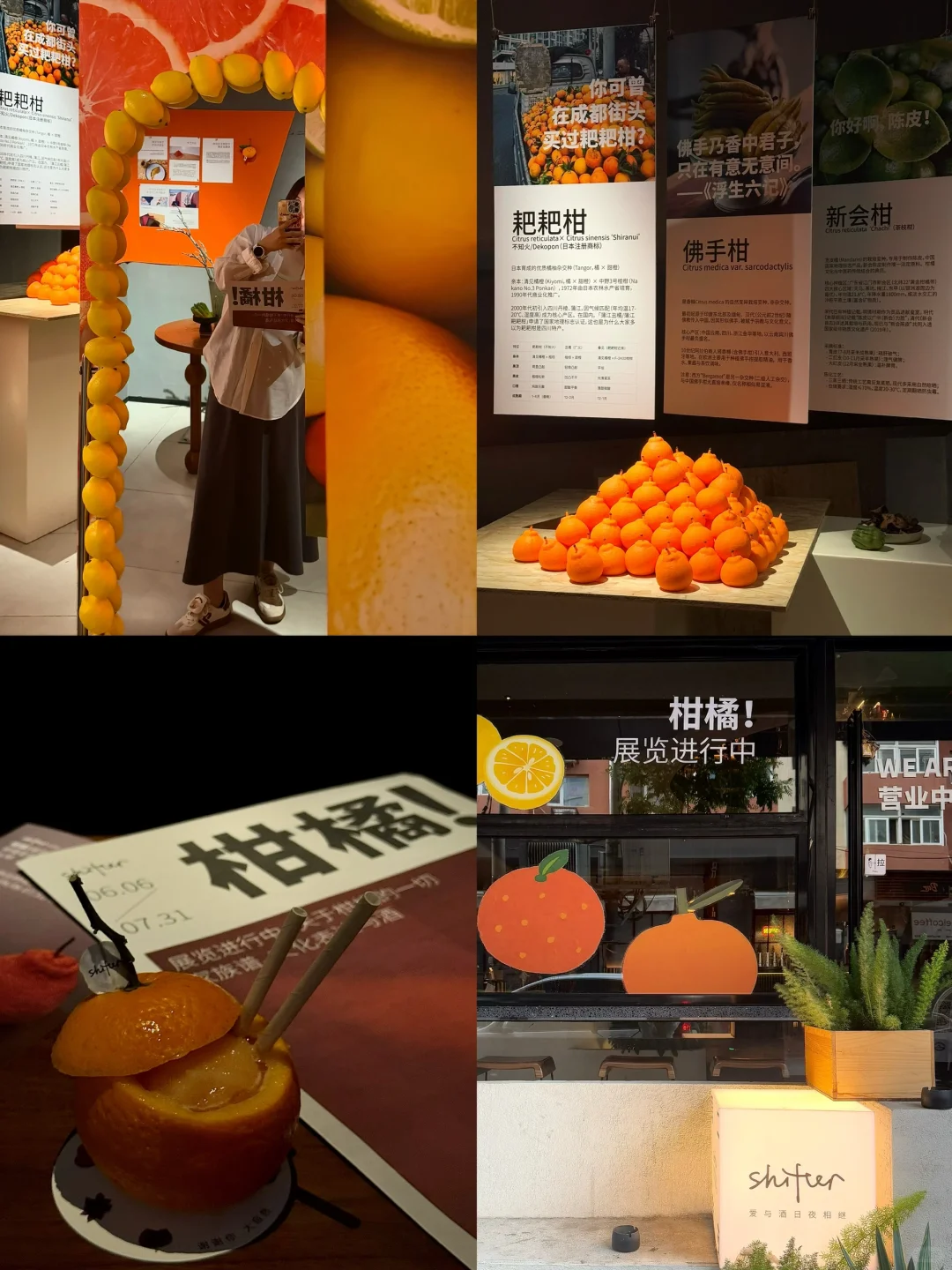 北京又有新的小展！?关于柑橘的一切