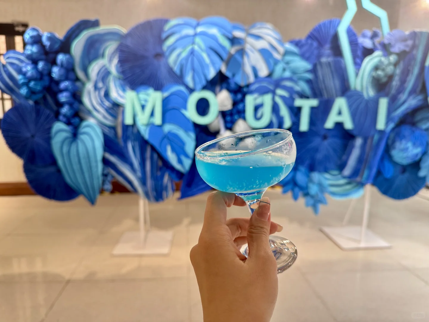Plog | 被茅台限时品鉴会拿捏的一天