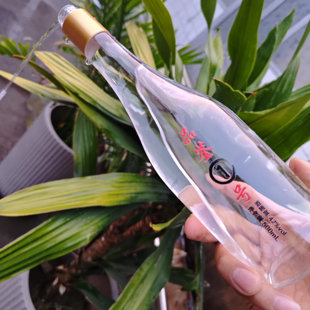 终于找到这款清香白酒了！