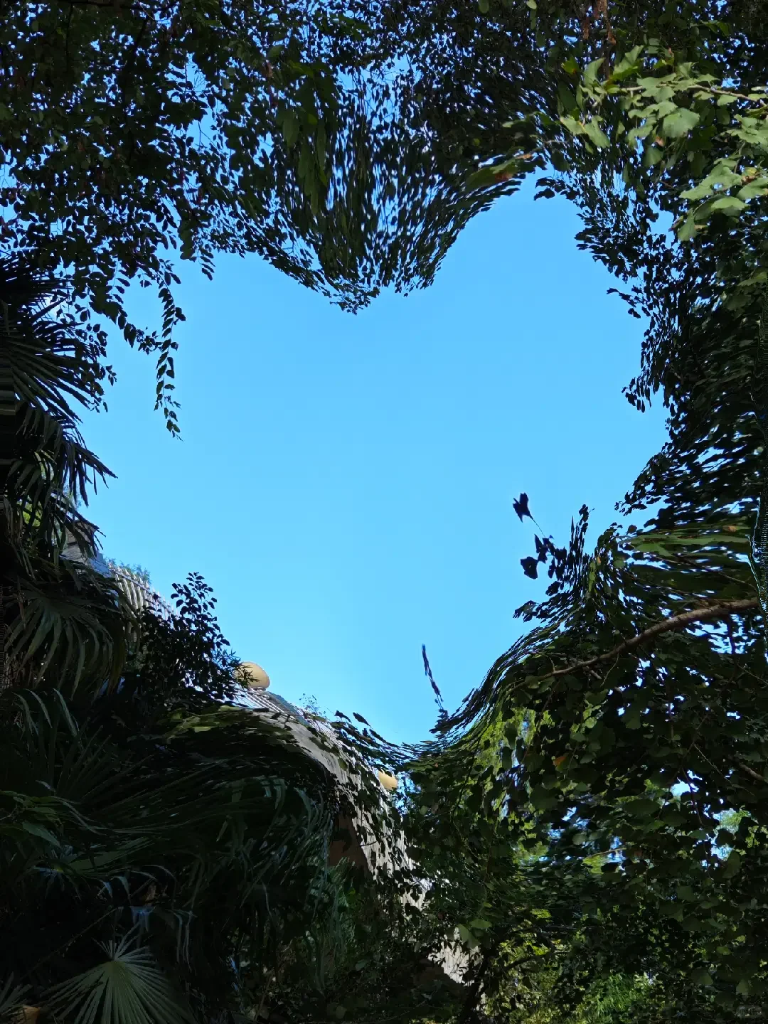 生化环材专业可以大胆投的神仙-材料外企