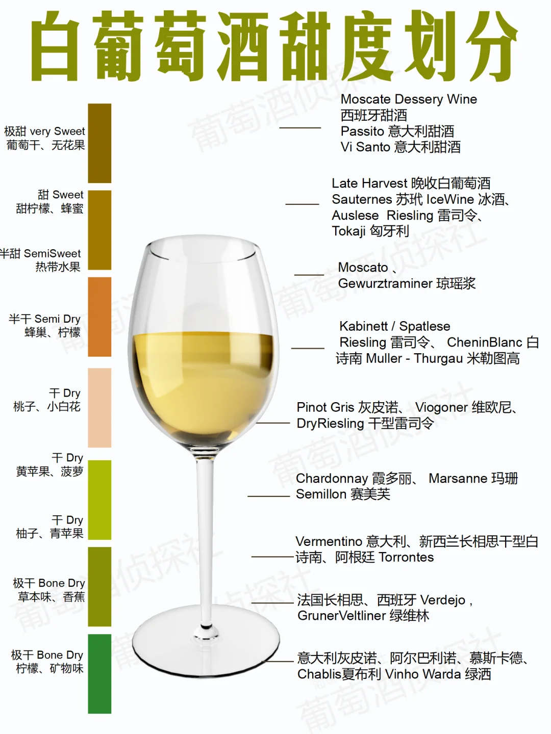 0踩雷❗手把手教你选白葡萄酒【收藏贴】