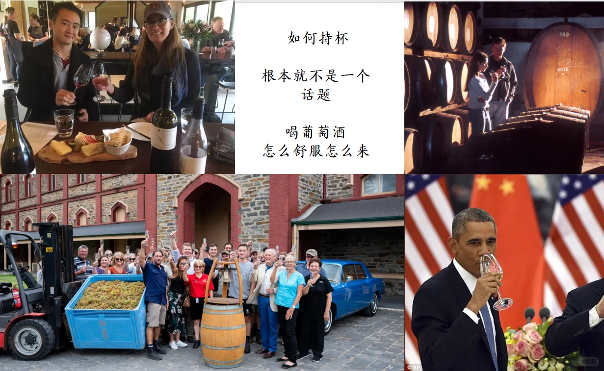 寻味杯中星河：葡萄酒入坑/避坑指南