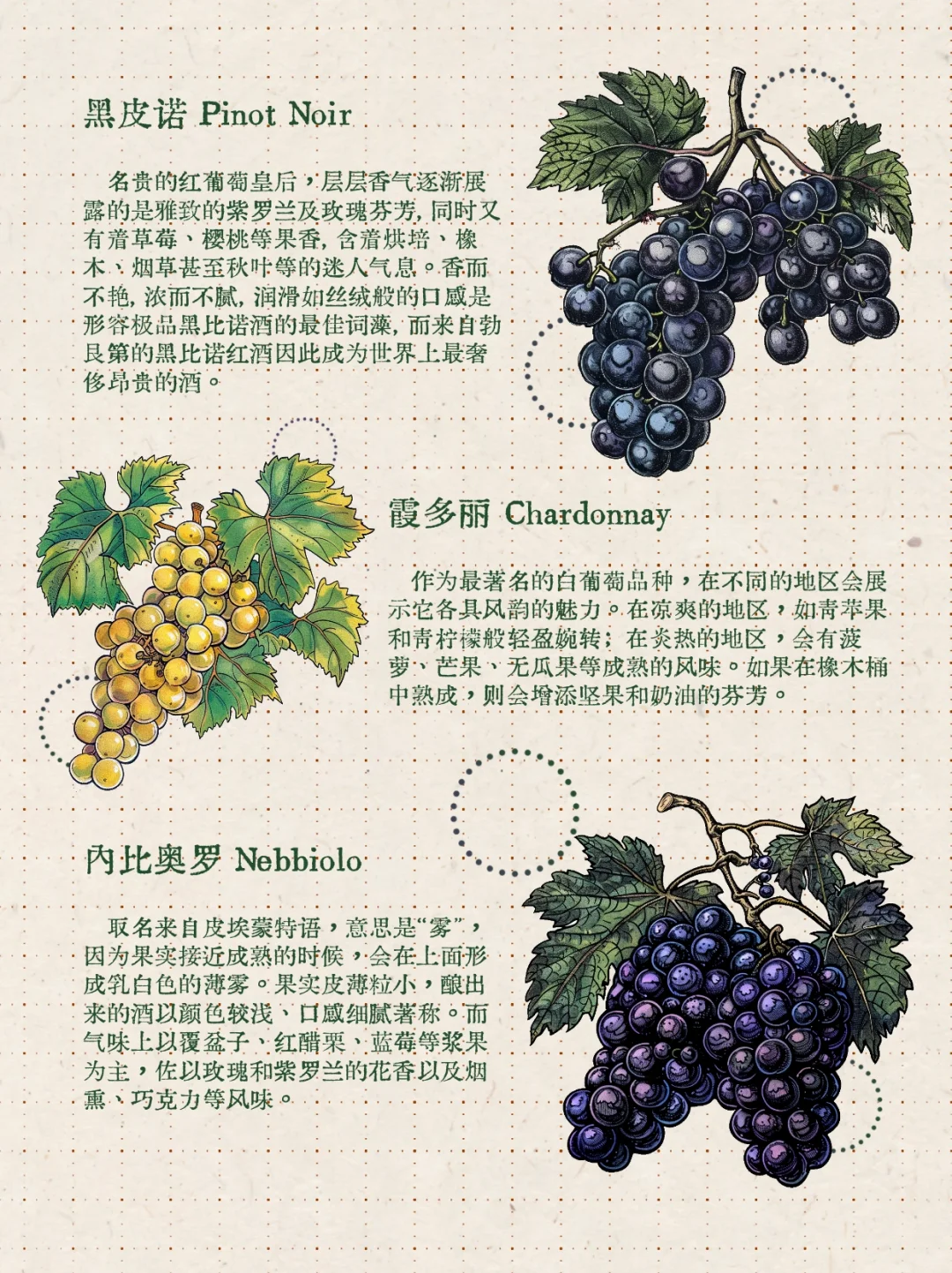 ?醉猫笔记丨9种常见酿酒葡萄?