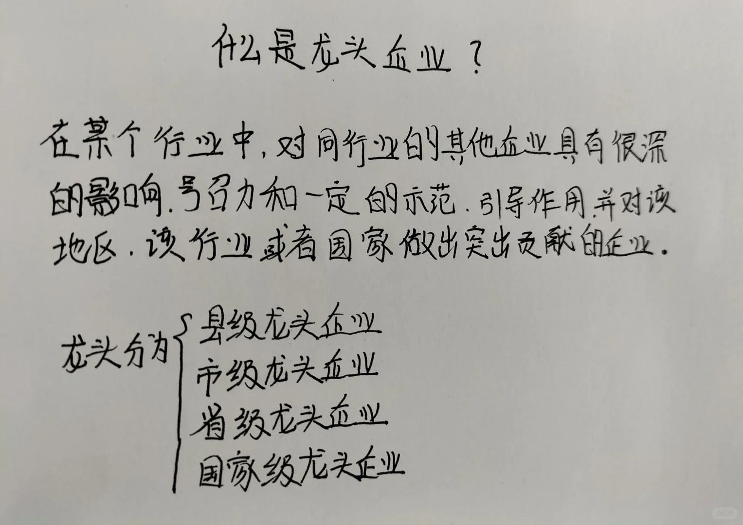 龙头企业