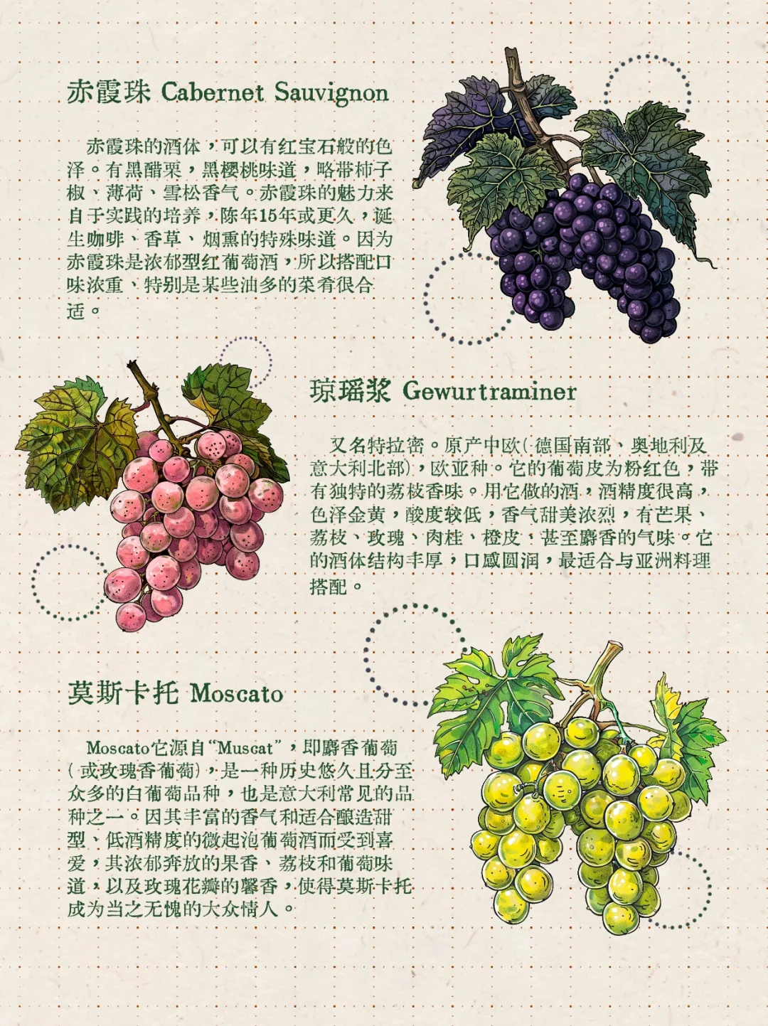 ?醉猫笔记丨9种常见酿酒葡萄?