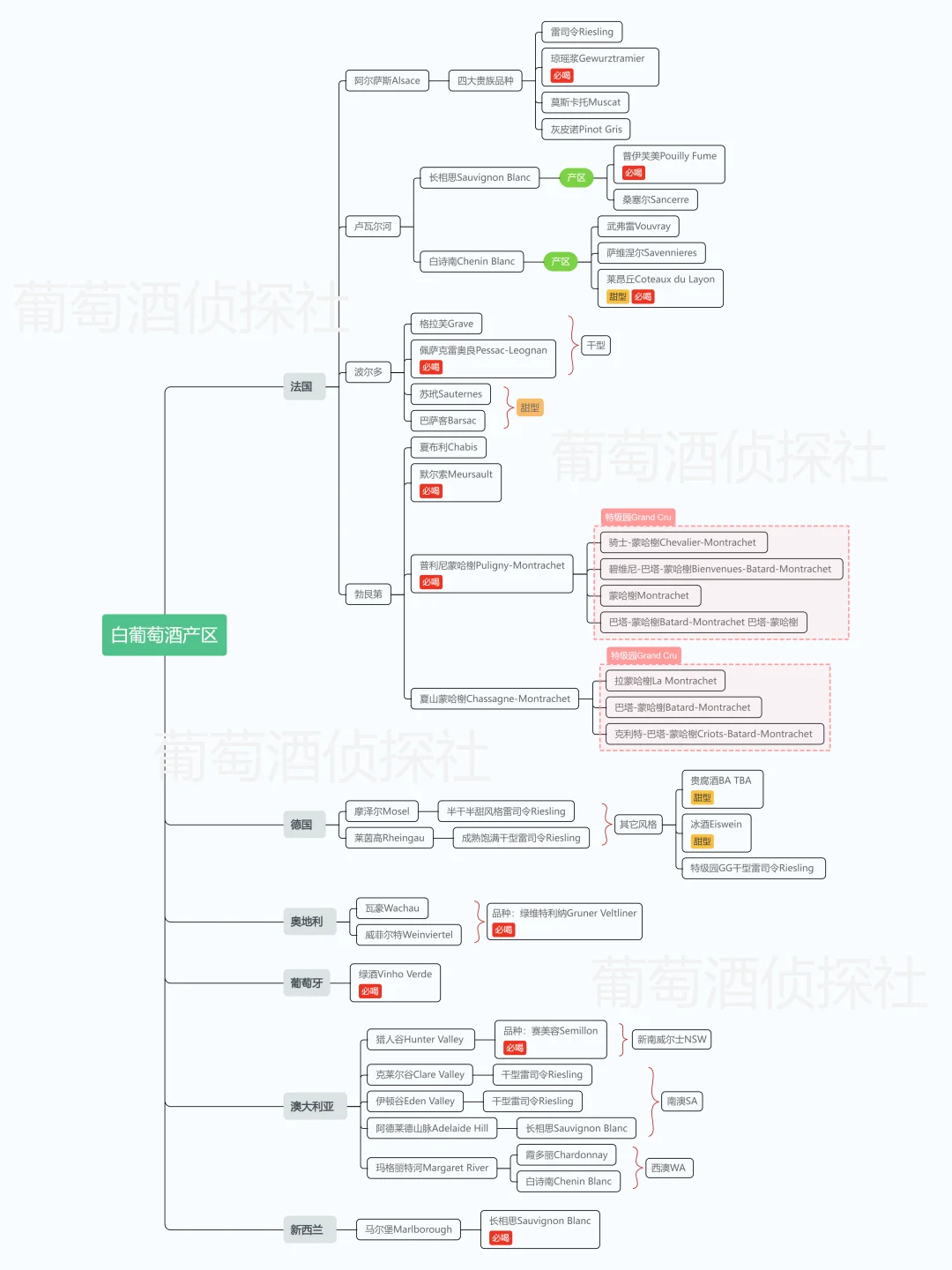 0踩雷❗手把手教你选白葡萄酒【收藏贴】