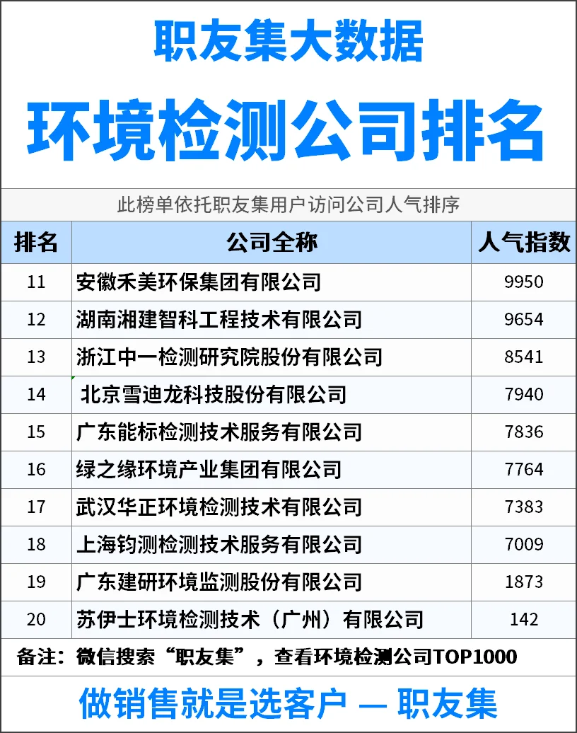 2025年中国‌‌‌‌‌环境检测公司排行榜