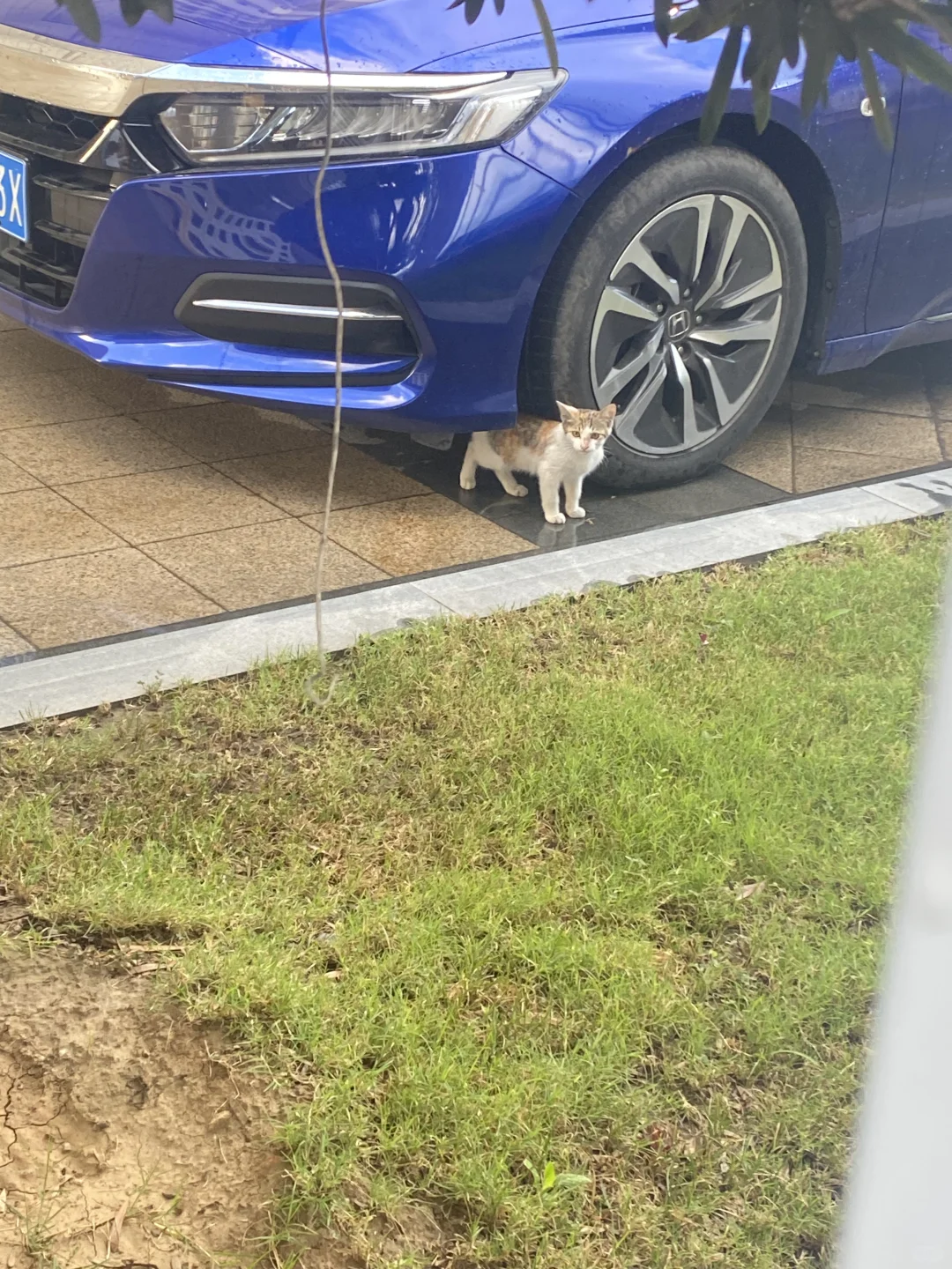 物流专业女大勇闯快递头部企业week1