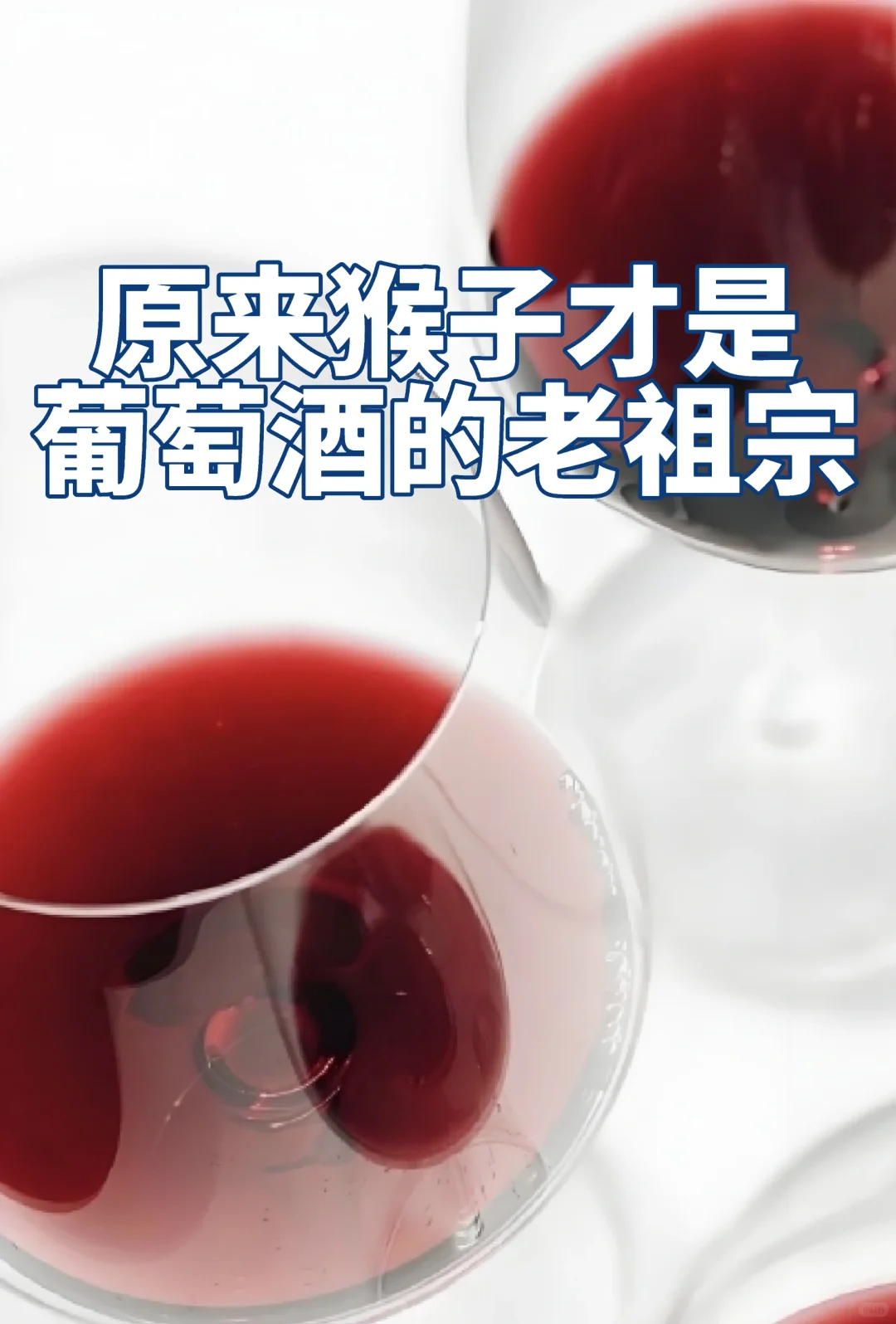 丹宁大叔给你说说这葡萄酒是怎么来滴