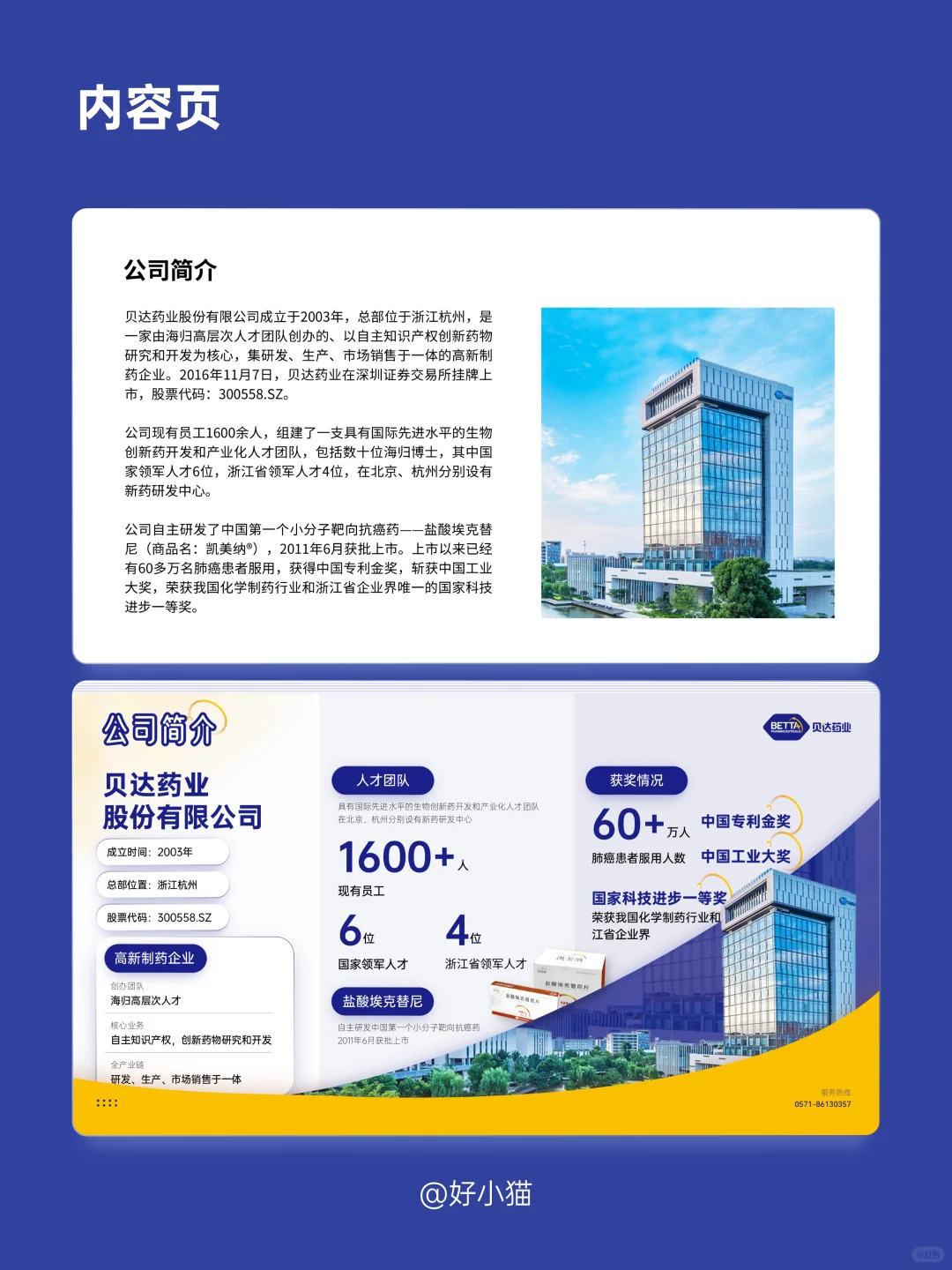 医疗企业介绍PPT