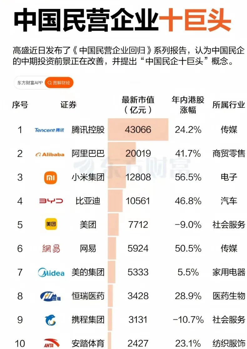 中国民营企业十巨头！